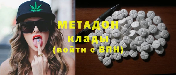 прущие грибы Аркадак