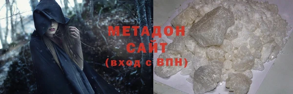 прущие грибы Аркадак
