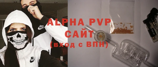 прущие грибы Аркадак