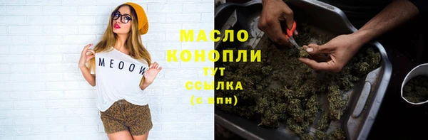 прущие грибы Аркадак