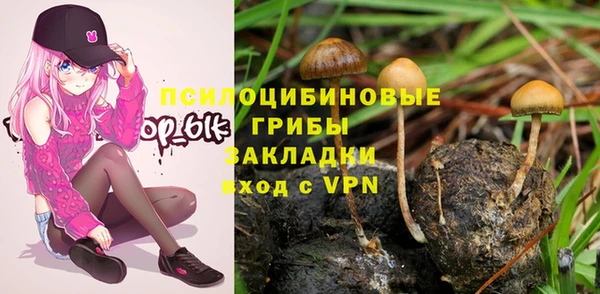ECSTASY Армянск