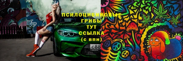 прущие грибы Аркадак