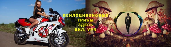 ECSTASY Армянск
