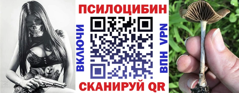 как найти   kraken ссылки  Галлюциногенные грибы Psilocybe  Судак 
