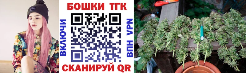 как найти Судак Шишки марихуана планчик